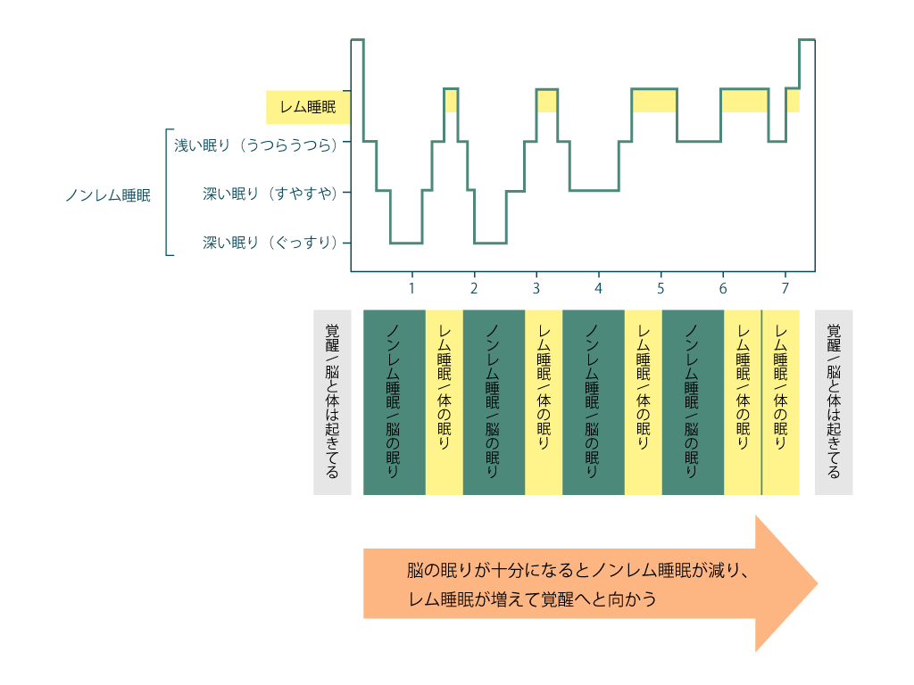 夢を見る仕組み：夢には3つのいい効果がある - パパママはじめてナビ