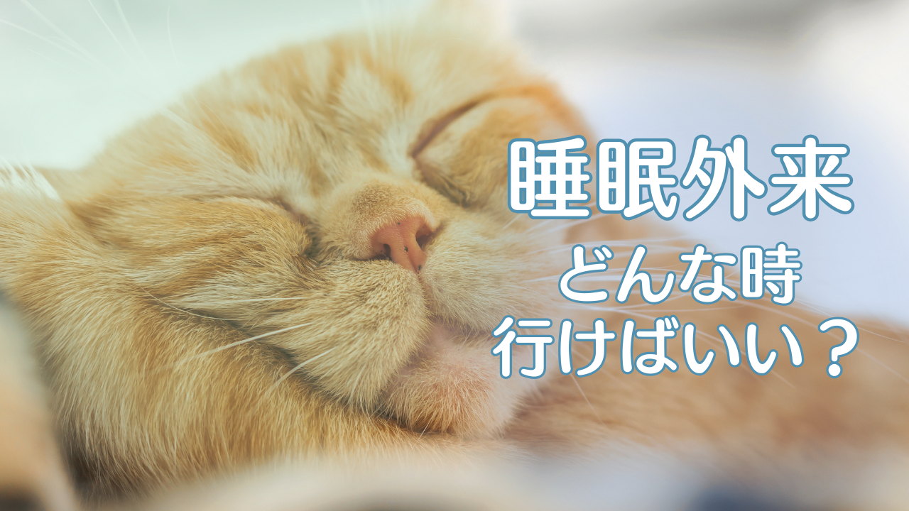 睡眠外来はどんな時に行けばいいのか？睡眠障害の種類を知る！